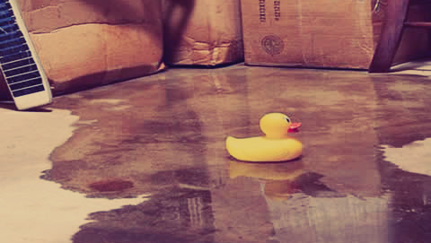 Image for Chicagoland Concrete & Waterproofing with ID of: 4103412