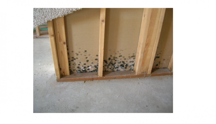 Image for Chicagoland Concrete & Waterproofing with ID of: 4103429