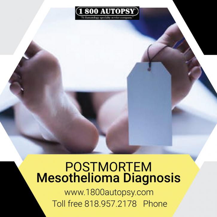 Image for Postmortem Mesothelioma Diagnosis with ID of: 4103474