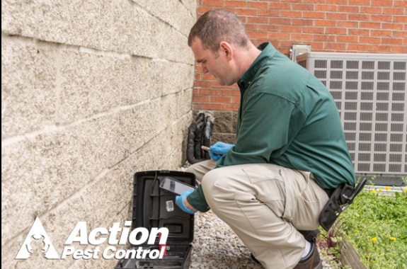 Image for Action Pest Control with ID of: 4104669