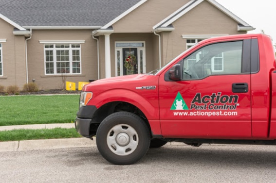 Image for Action Pest Control with ID of: 4104673