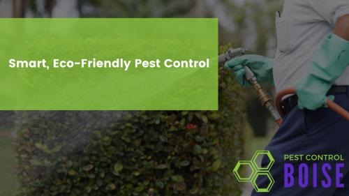 Image for Pest Control Boise with ID of: 4106177
