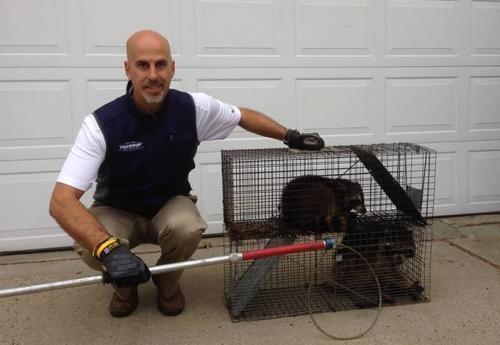 Image for Parkway Pest Services with ID of: 4107326