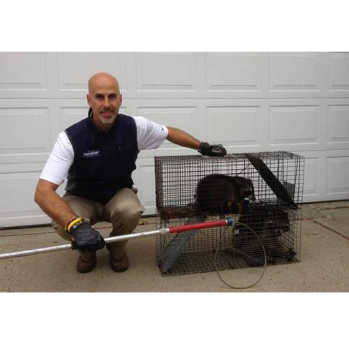 Image for Parkway Pest Services with ID of: 4107504