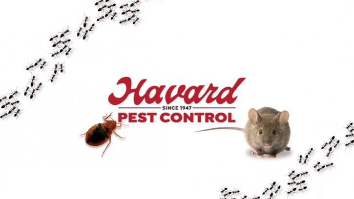 Image for Havard Pest Control with ID of: 4109571