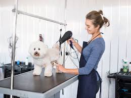Image for Pampered Pups with ID of: 4111004