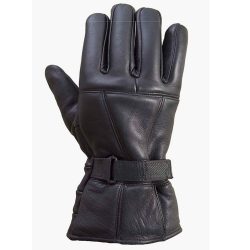 Image for Leather Motorcycle Gloves with ID of: 4113896