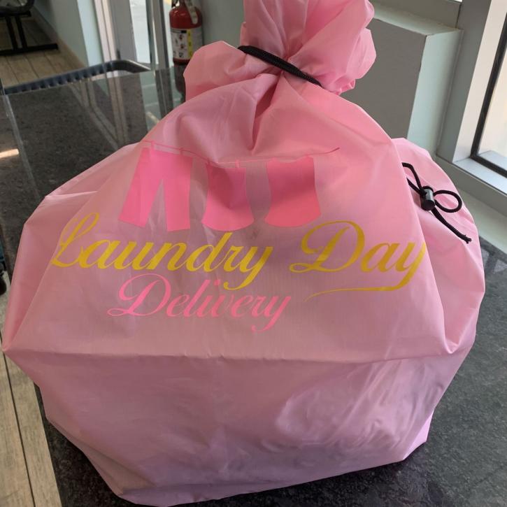 Image for Laundry Day Delivery with ID of: 4116037