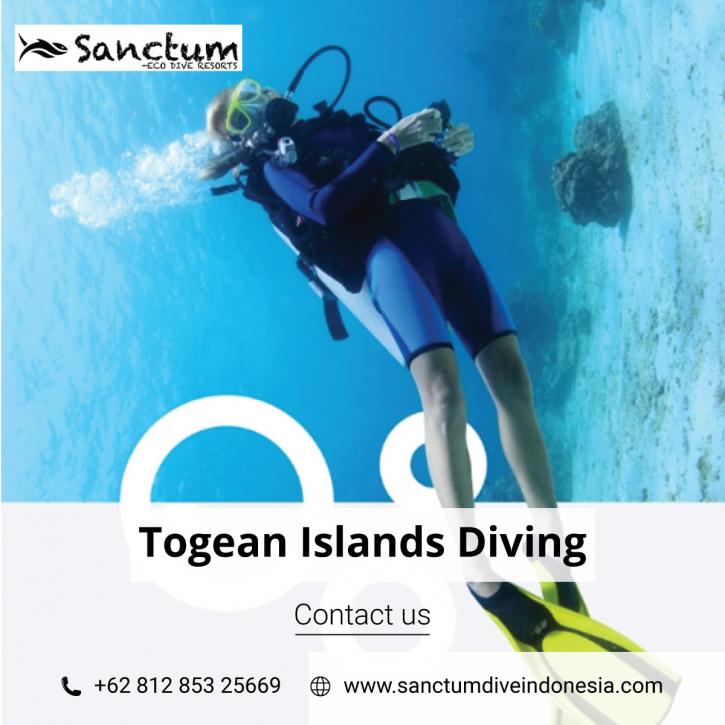 Image for Togean Islands Diving with ID of: 4117811