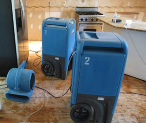 Image for 1st Choice Solutions of Chicago with ID of: 4118688
