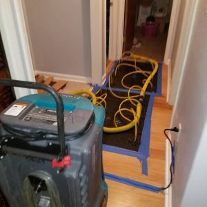 Image for 1st Choice Solutions of Chicago with ID of: 4118689