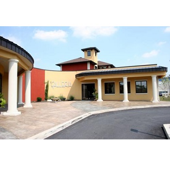 Image for Plastic Surgery Services with ID of: 4121853