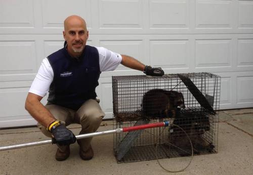Image for Parkway Pest Services with ID of: 4122631