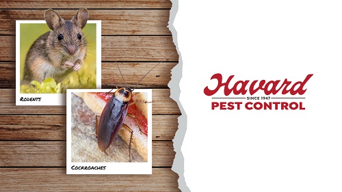 Image for Havard Pest Control with ID of: 4124500