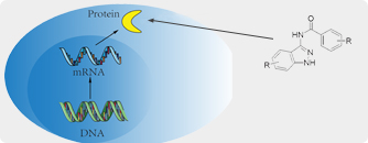 Image for cd63 exosome with ID of: 4126407