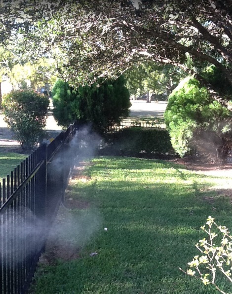 Image for Texan Mosquito Systems with ID of: 4126547