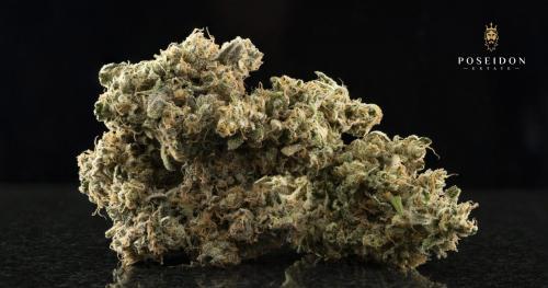 Image for Sacramento Confidential Delivery with ID of: 4128907
