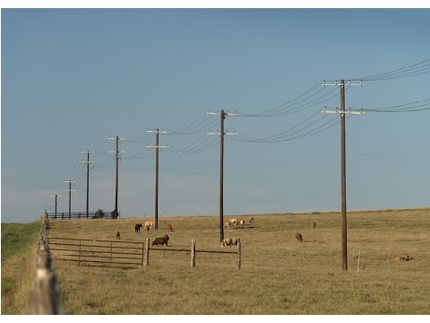 Image for GVEC Electric with ID of: 4131467