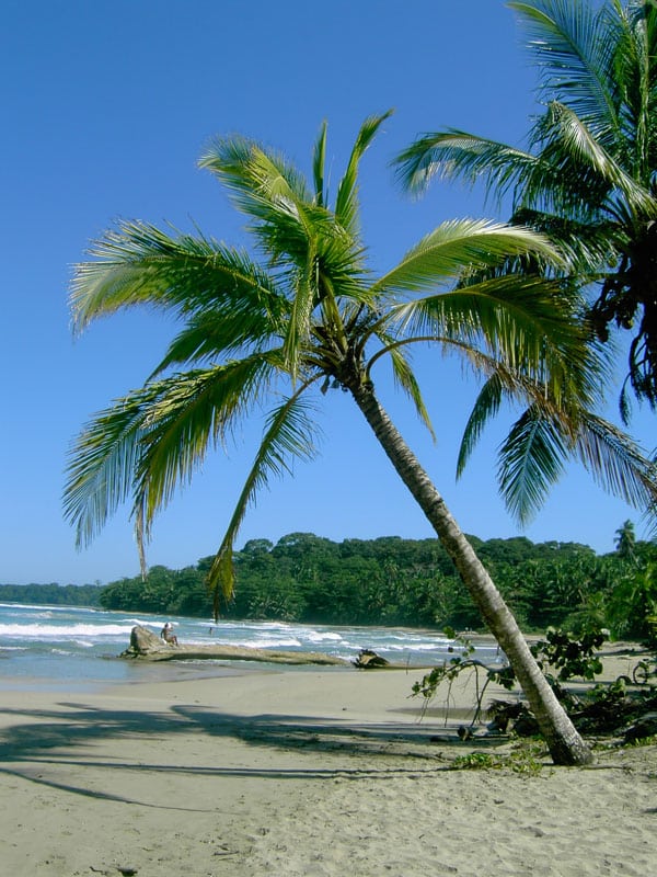 Image for Costa Rica Escapes with ID of: 4133516