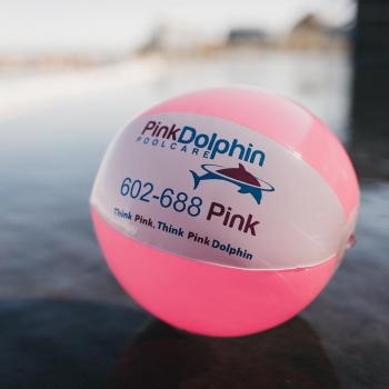 Image for Pink Dolphin Pool Care with ID of: 4138441