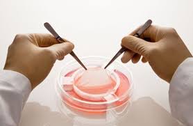 Image for Global Tissue Engineered Skin Substitutes Market 2020 | Manufacturers, Regions, Type And Application, Forecast To 2025 with ID of: 4138518