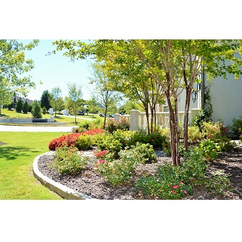 Image for Design Masters Landscaping with ID of: 4139130