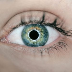 Image for Radiant Eyes of Boca with ID of: 4140924
