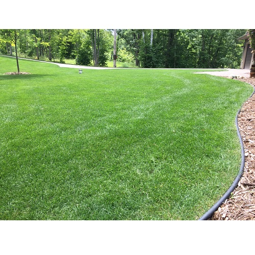 Image for Jared's Lawn Care with ID of: 4145034