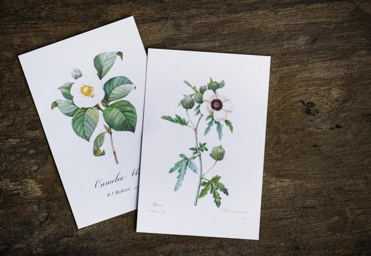 Image for PIP Marketing, Signs, Print with ID of: 4150819