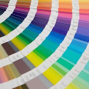 Image for Sir Speedy Print, Signs, Marketing with ID of: 4152416