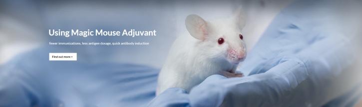 Image for vgll4 antibody with ID of: 4155237