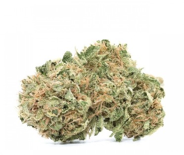 Image for Lets Try Herb with ID of: 4156062