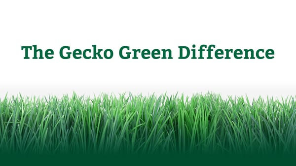 Image for Gecko Green with ID of: 4156107