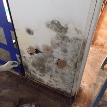 Image for QwikResponse Restoration & Construction with ID of: 4160034