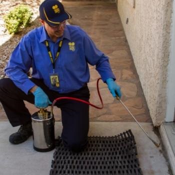 Image for Truly Nolen Pest & Termite Control with ID of: 4160085