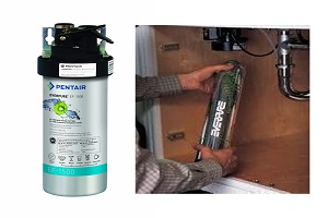 Image for Everpure Water Filter Systems with ID of: 4161678