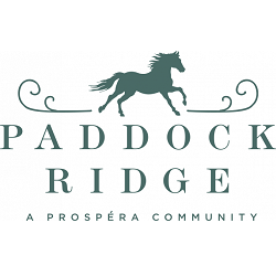 Image for Paddock Ridge with ID of: 4162297