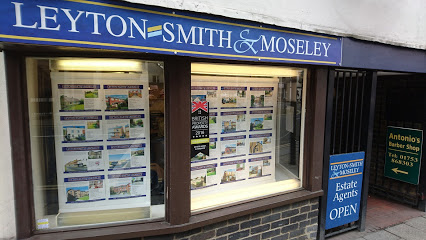 Image for Leyton-Smith & Moseley with ID of: 4162849