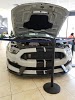 Image for Astro Ford with ID of: 4164424