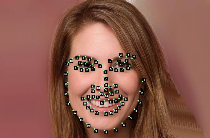 Image for Landmark Annotation for Face Recognition with ID of: 4165415