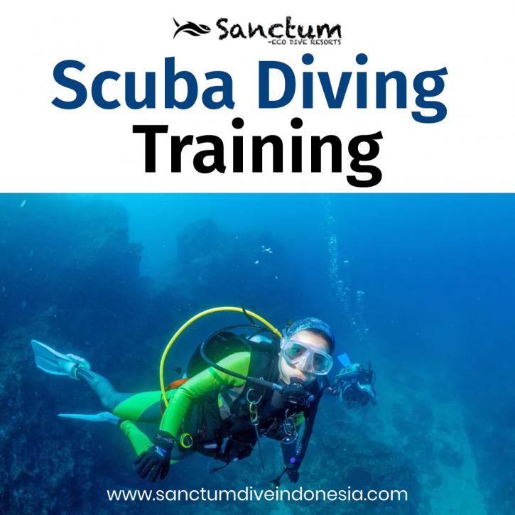 Image for Scuba Diving Courses with ID of: 4166422