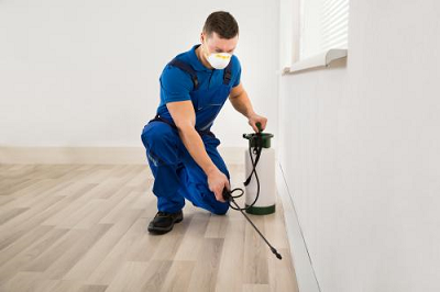 Image for Amco Pest Services, Inc. with ID of: 4167297