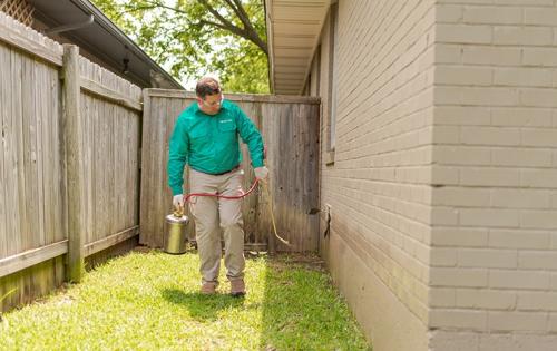 Image for GreenForce Pest Solutions with ID of: 4169313