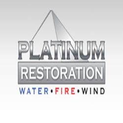 Image for Platinum Restoration with ID of: 4177528