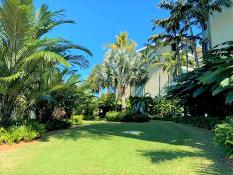 Image for Gautier Tree & Landscape with ID of: 4183821