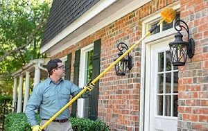 Image for Pestmaster® Services, Inc. with ID of: 4189236