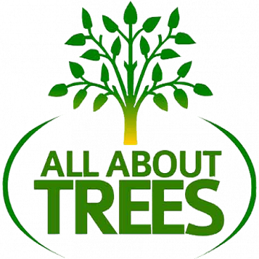 Image for All About Trees with ID of: 4193688