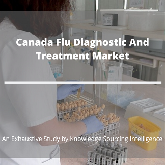 Image for Comprehensive Report on Canada Flu Diagnostic And Treatment Market with ID of: 4197103
