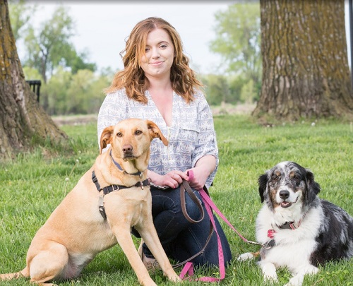 Image for Beyond the Dog, LLC with ID of: 4198018