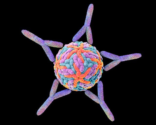 Image for SARS Cytokine with ID of: 4198646